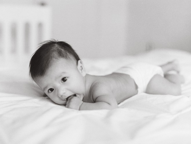 the great romance photo newborn session