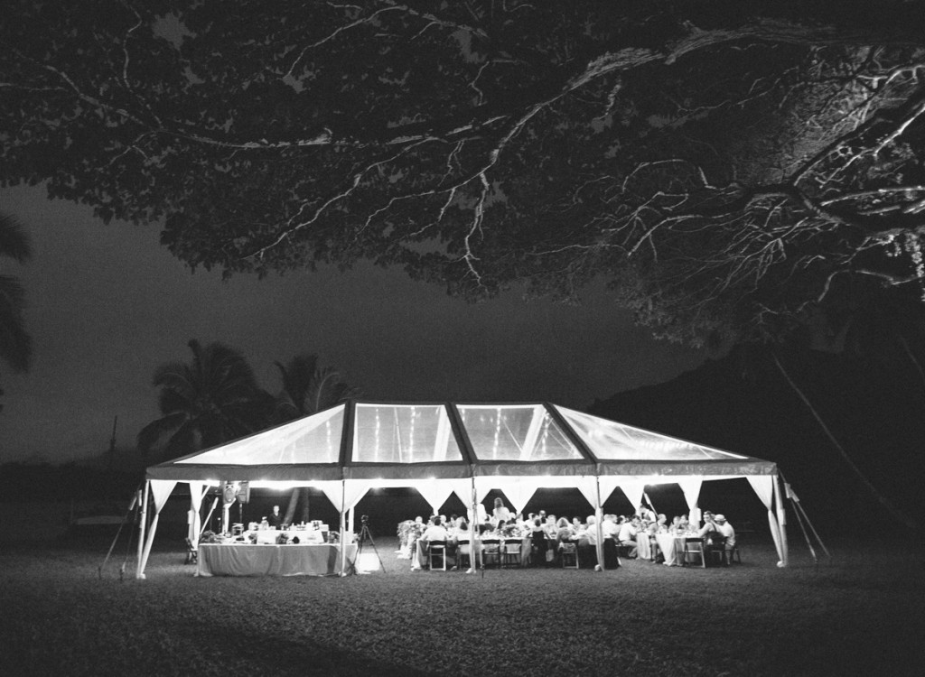 the great romance photo //  hawaii oahu kualoa ranch wedding