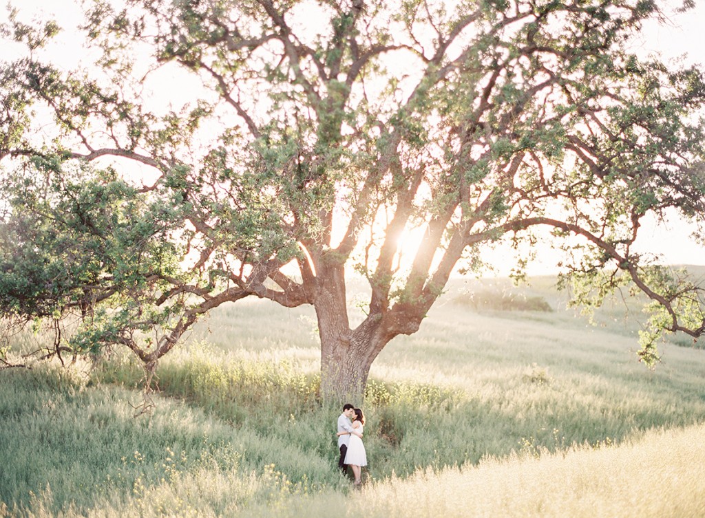 the great romance photo malibu film engagement