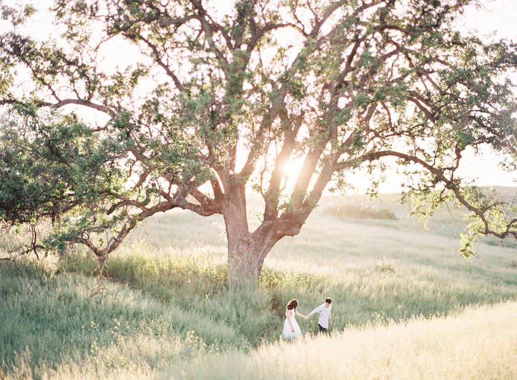 the great romance photo malibu film engagement