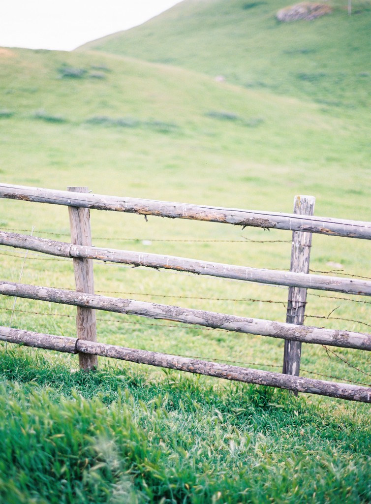 the great romance photo // norcal film wedding photography