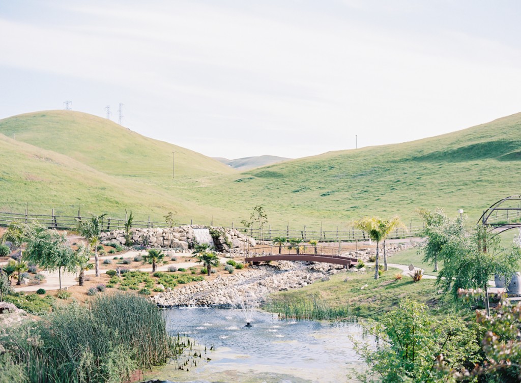 the great romance photo // norcal film wedding photography